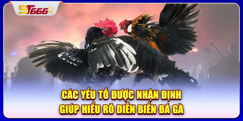 Các yếu tố được nhận định giúp hiểu rõ diễn biến đá gà