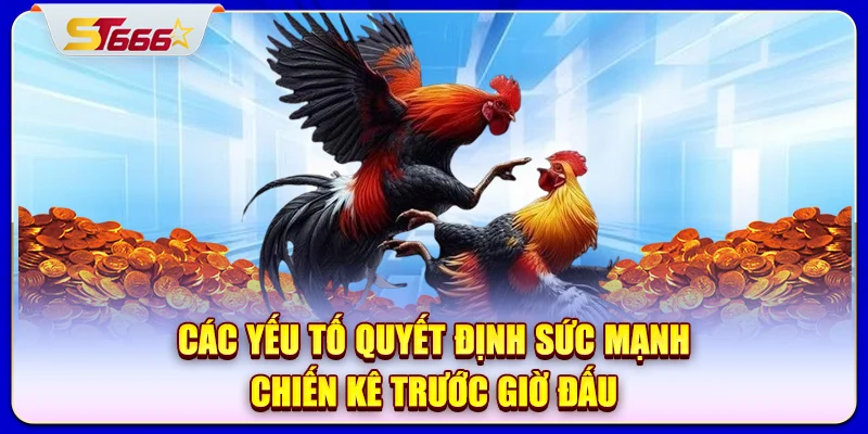 Các yếu tố quyết định sức mạnh chiến kê trước giờ đấu
