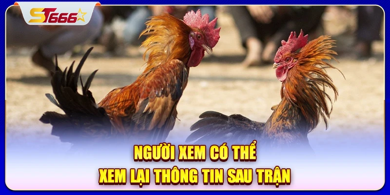 Người xem có thể xem lại thông tin sau trận