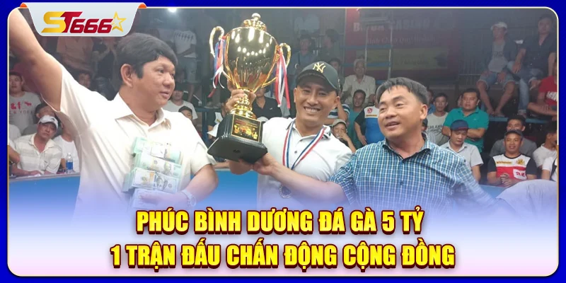 phúc bình dương đá gà 5 tỷ