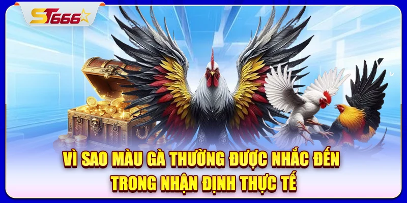 Vì sao màu gà thường được nhắc đến trong nhận định thực tế